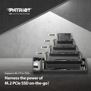 CARCASA PATRIOT TXD PV810 PARA SSD M.2 PCIE GEN 3X4 NVME 1.3 USB 3.2 USB TIPO C WINDOWS MAC OS LINUX ANDROID, (PV810UPNGM)