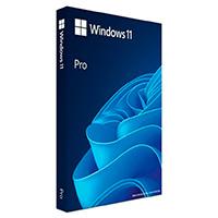 [SWS-5758] MICROSOFT OEM KIT DE LEGALIZACION GGK WINDOWS 11 PROFESIONAL 64 BITS ESPAÑOL LAT 1PK DSP DVD